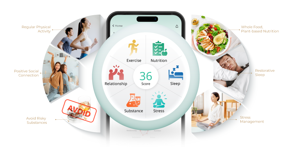 LifestyleTech App Features - Health Tracking and Analytics